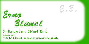 erno blumel business card