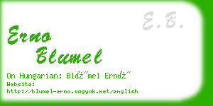 erno blumel business card